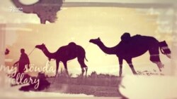 Azat Adalga: Globallaşma