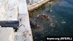 Сміття і бруд стікають у море. Севастополь, архівне фото