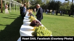 په افغانستان کې د انګورو یوې مېلې پخوانی عکس