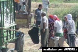 Туркменистан мобилизует десятки тысяч государственных служащих на сбор хлопка.