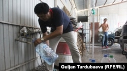 Желим бөтөлкөлөргө суу толтуруп аткандар. Бишкектин четиндеги Пригородное айылында да жайында суу чоң көйгөйгө айланат.