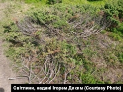 Гора Петрос