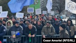 Majoritatea angajaților Damen Mangalia sunt de opt luni în șomaj tehnic. 