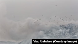 Таштанды талаасы.