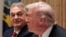 US President Donald Trump meets with Hungarian Prime Minister Viktor Orban at the White House on November 7.