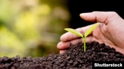 Иллюстрация сүрөт.