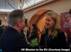 Сара Маккарті під час презентації фільму у Брюсселі