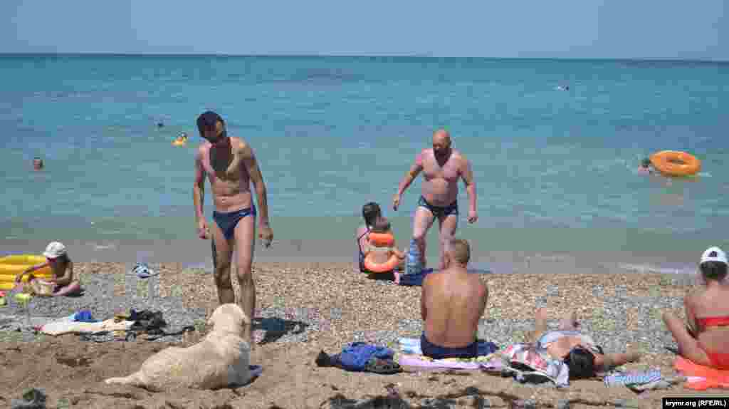 Некоторые отдыхающие приходят на пляж с домашними любимцами