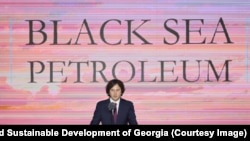 Ираклий Кобахидзе на презентации