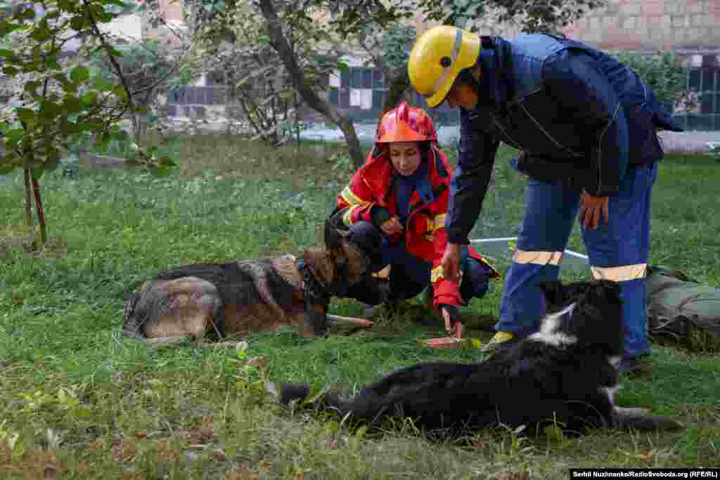 Собаки допомагають працівникам ДСНС шукати людей під завалами