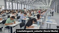 Узбекские абитуриенты, 2024 год