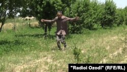 Таджикский фермер показывает руками масштабы нашествия саранчи