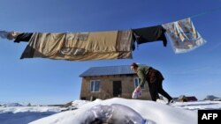 Бишкек, Ак-Ордо конушу.