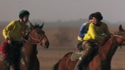 Кыргыз жылкысы жоголуу коркунучундабы?