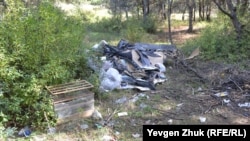 Сміттєзвалище в лісі під Севастополем, архівне фото