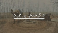 د مورنيو ژبو نړيواله ورځ: پاکستان کې د پښتو مقام
