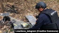 Уламки виявили на території одного з лісових масивів