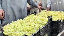 له افغانستان سره د لارو بندېدو له امله په پاکستان کې د مېوو او سبزيانو نرخونه زيات شوي