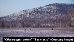 В окрестностях поселка