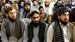 د خوست اوسېدونکو ځوانانو ته د کار او زدکړو د شرايطو برابرولو غوښتنه کړې