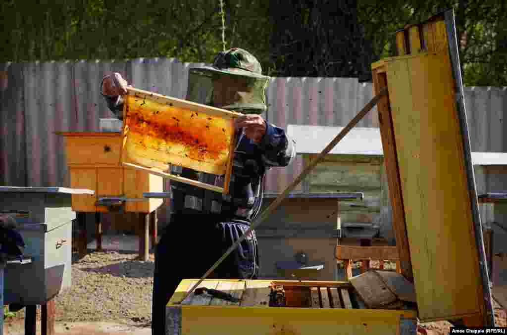 Василь перевіряє один зі своїх вуликів. Одного разу колишні власники, які зараз живуть в Криму, повернулися провідати їхній старий будинок. &laquo;Вони постукали в двері... не було ніяких проблем, навпаки, вони були щасливі, що я вселився&raquo;, &ndash; каже Василь, бо без нього будинок був би тепер у руїнах