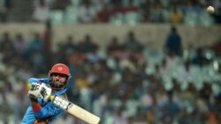 کرکټ د سولې لپاره