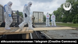 Обмін тілами. Фото Координційного штабу. 13 червня 2025 року