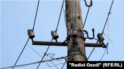 Акс аз бойгонӣ