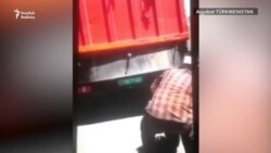 "Не души щенка!": отлов бездомных животных в Ашхабаде