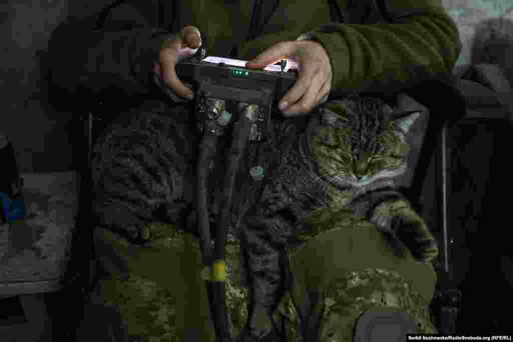 Білоруський доброволець на позиціях на сході керує дроном, поки на його колінах спить кіт. Листопад 2024 року