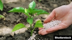 Сполучені Штати вже наголошували, що російське продовольство та добрива не підпадають під санкції, запроваджені через повномасштабне вторгнення Москви в Україну