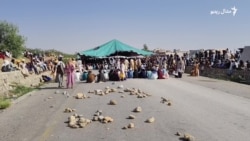 د شمالي وزيرستان کډوالو د مرستو د بحالۍ او کورونو ته د ستنېدو لپاره احتجاج ته دوام ورکړی